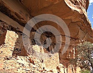 Cliff Dwellers of remote Arizona