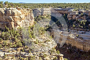 Cliff dwelling (in the shady area) in Navajo Canyon in Mesa Verde National Park