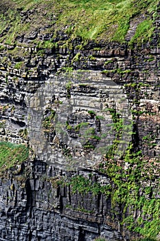 Cliff Face