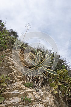 Cliff Face at Budva, Montenegro