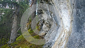 Cliff face in a forest photo