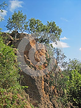 CLIFF FACE NEXT TO A RIVER WITH DENSE GREEN VEGETATION