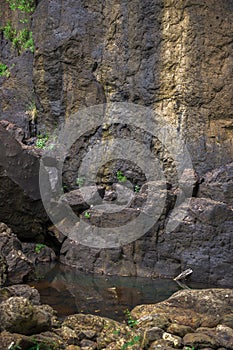 Cliff face in Springbrook Park