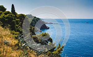Cliff face with trees, plants and dried grass on a Mediterranean island