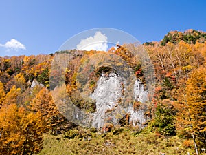 Cliff filled with autumn leaves with tall trees and blue sky as background