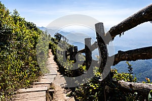 Cliff footpath in tropical forest