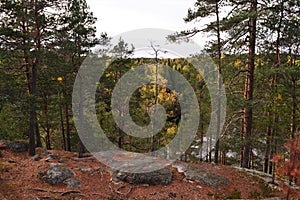 Cliff in the forest in October