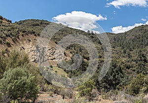 Cliff on forested hill flank in Los Padres National Forest, CA, USA