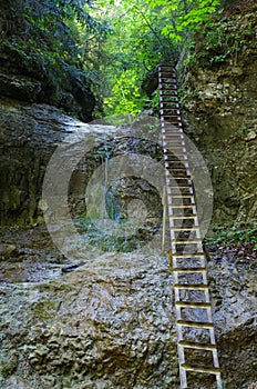 Cliff with ladder in Slovak Paradise