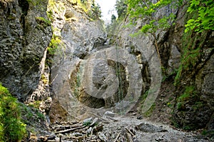 Cliff with ladder in Slovak Paradise