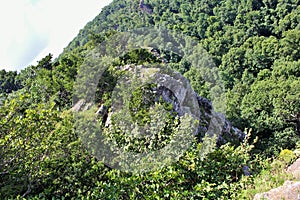 Cliff at Mount Magazine State Park