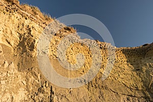 Cliff near Ahrenshoop
