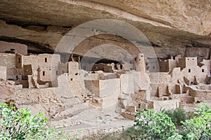 Cliff Palace ancient puebloan village of houses and dwellings in Mesa Verde National Park New Mexico USA photo