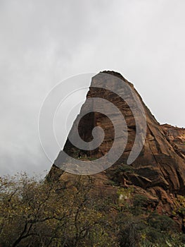 Cliff Peak, Zion National Park, Utah