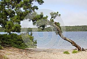 Cliff Pond in Nickerson State Park on Cape Cod