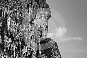 Cliff in Railay beach, Krabi, Thailand. Black and white picture.