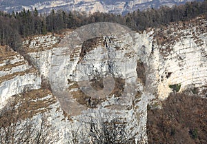 Cliff with rock and forest in the mountains in winter