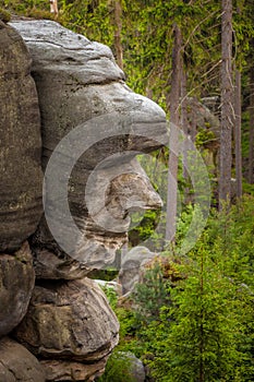 A cliff or rock that looks like a face on Ostas hill in the Czech Republic photo