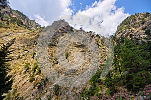 Cliff in Samaria Gorge, Crete, Greece