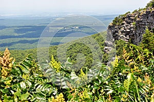 Cliff seen from Cameron Bluff Overlook