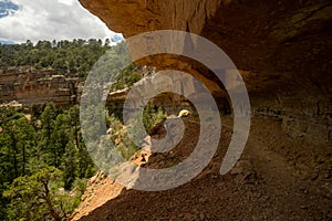 Cliff Spring Trail Cuts Under The North Rim Of The Grand Canyon