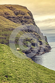 Cliff view in faroe