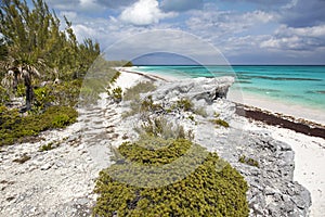 Cliff view of Lighthouse Beach