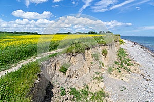 Cliffed coast in SchÃ¶nhagen