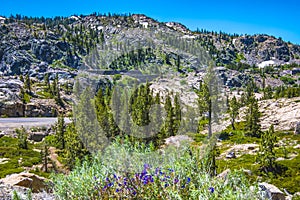 Cliffs Above Donner Lake