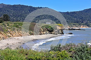 Ano Nuevo Coast with Elephant Seals on Sheltered Beaches, California photo