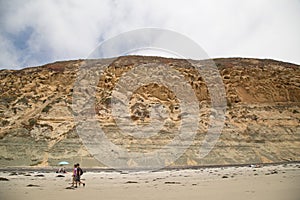 Cliffs and beach at Torrey Pine State Park in California