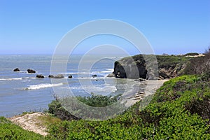 Cliffs and Beaches with Elephant Seals on the Pacific Coast, Ano Nuevo State Park, Big Sur, California, USA photo