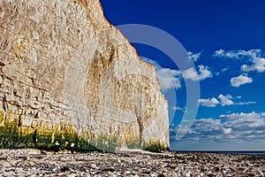 Cliffs of Birling gap - United Kingdom