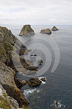 Cliffs in the brittany coast, France