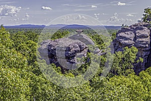 The Cliffs of Burrungkuy over the Rainforest