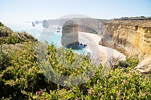 Cliffs and bushes at Twelve Apostels at the Great Ocean Road, Victoria, Australia