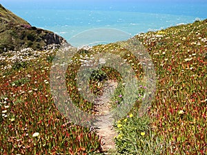 Cliffs in Cabo da Roca near Sintra, Portugal, continental Europeâ€™s westernmost point