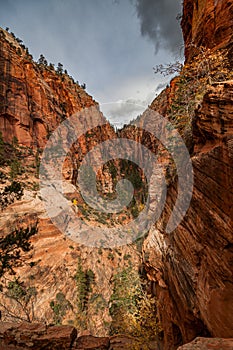 Cliffs and Canyon in Zion