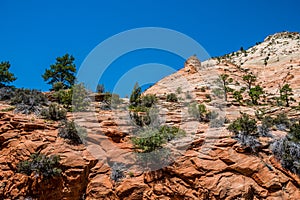 Cliffs and canyons in the Zion National Park. The landscape of Utah