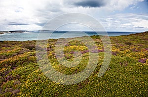 Cliffs at Cap Frehel