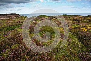 Cliffs at Cap Frehel