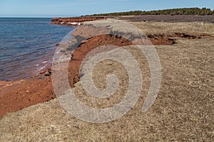 Cliffs at Cavendish Beach PEI