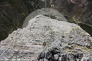 Cliffs and caves in Faroe islands coastline. Vestmanna photo