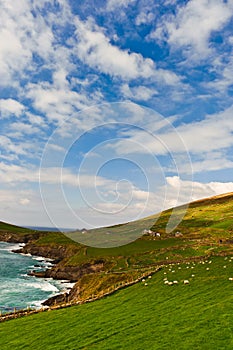 Cliffs on Dingle Peninsula, Ireland