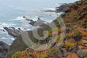 Cliffs and dunes at the Costa Vicentina Natural Park, Southwestern Portugal