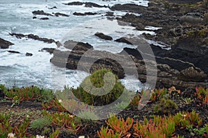 Cliffs and dunes at the Costa Vicentina Natural Park, Southwestern Portugal