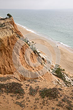 Cliffs at Falesia Beach; Algarve