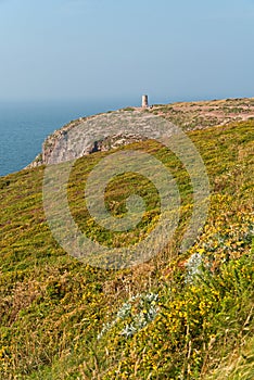 Cliffs with flowers and old tower at the Cape of Frehel. Brittany.