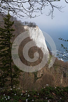Cliffs and Forests of Jasmund, Germany