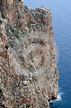 Cliffs and blue sea, Formentera island,  Spain, Europe